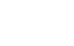 american force